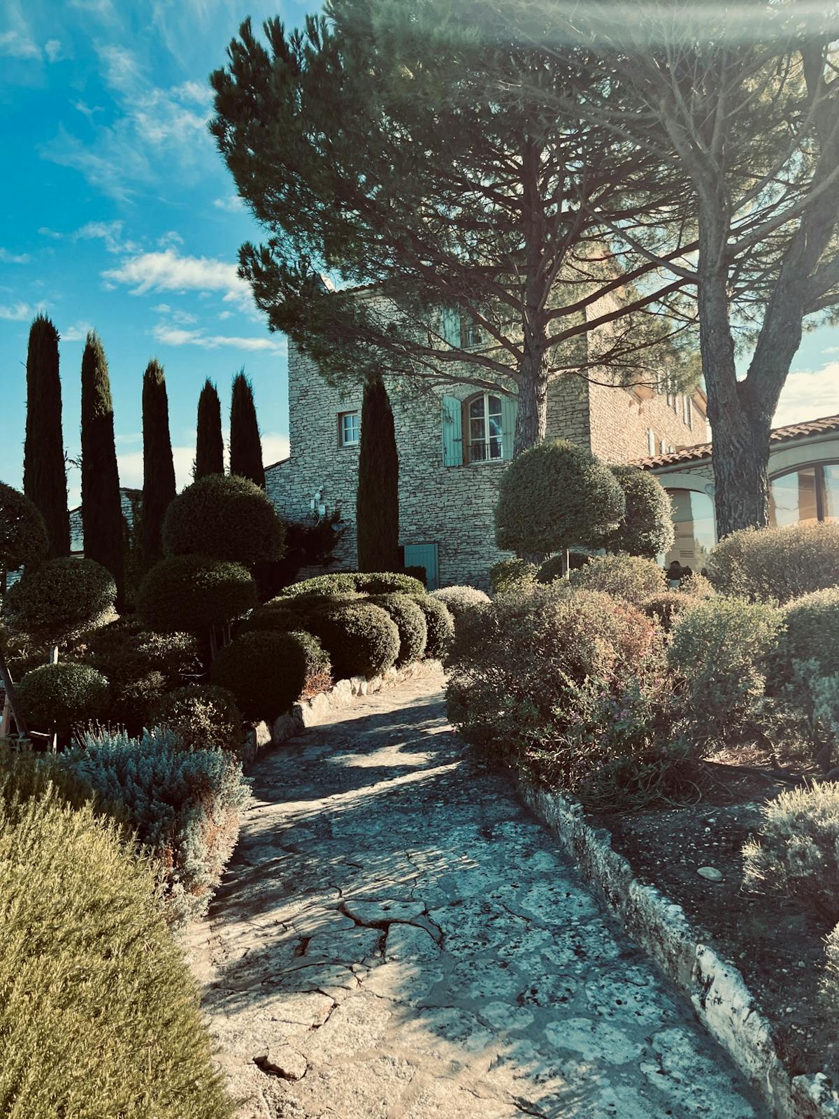 Création de jardin paysager à Nice — Les Vieilles Branches du 06